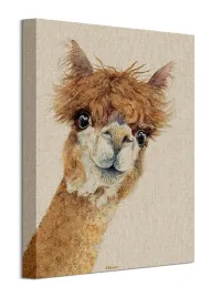 jane-bannon-lama-obraz-na-plotnie-30x40-cm
