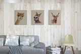 jane-bannon-lama-obraz-na-plotnie-30x40-cm-sposob-wykonania-druk-cyfrowy