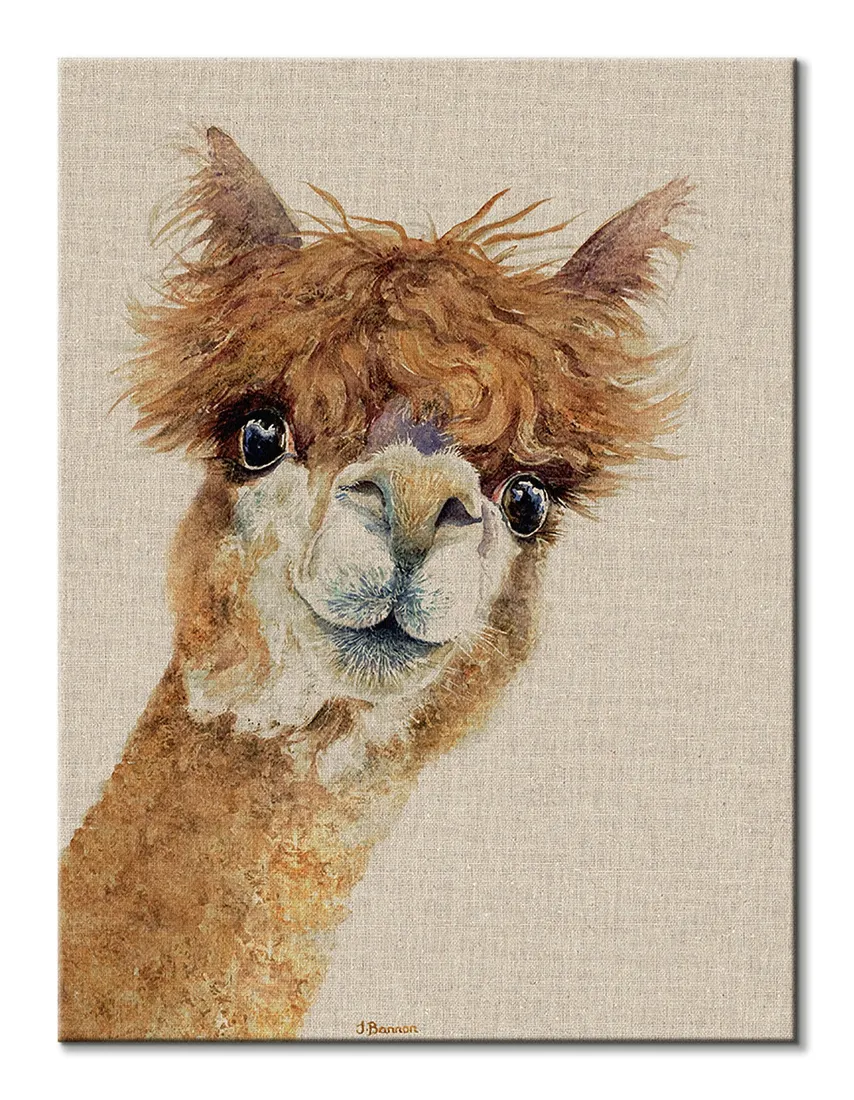 jane-bannon-lama-obraz-na-plotnie-30x40-cm