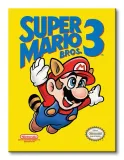 obraz-na-plotnie-super-mario-bros-3-nes-cover