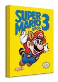obraz-na-plotnie-super-mario-bros-3-nes-cover-bohater-super-mario