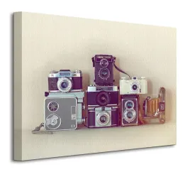 camera-collection-obraz-na-plotnie-50x40
