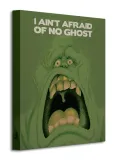 ghostbusters-duch-slimer-obraz-na-plotnie-30x40-cm