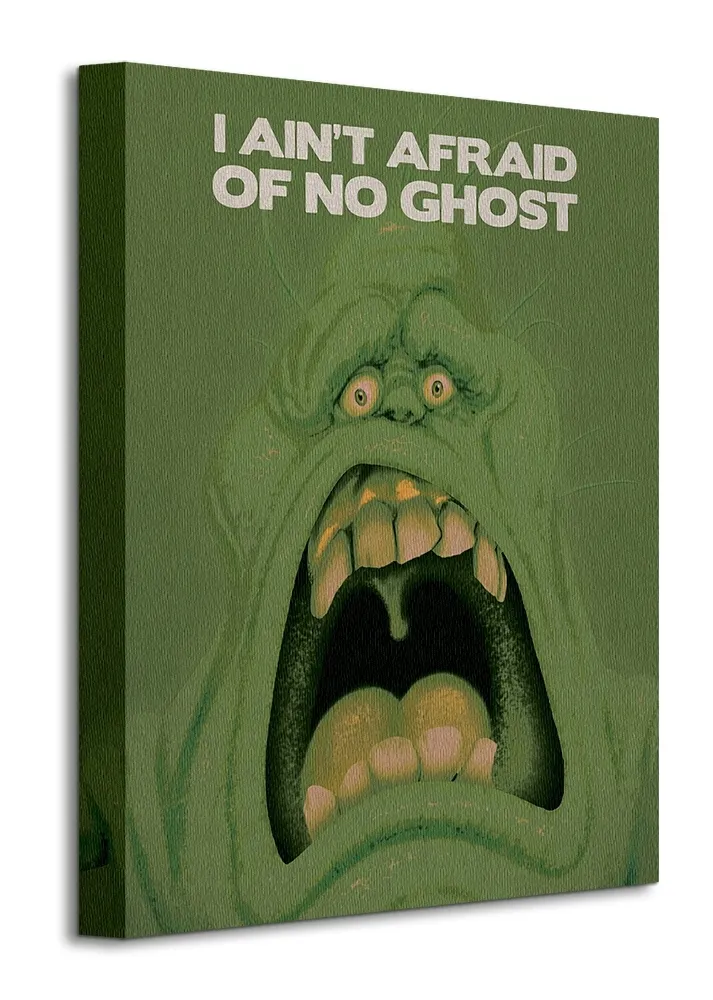 ghostbusters-duch-slimer-obraz-na-plotnie-30x40-cm