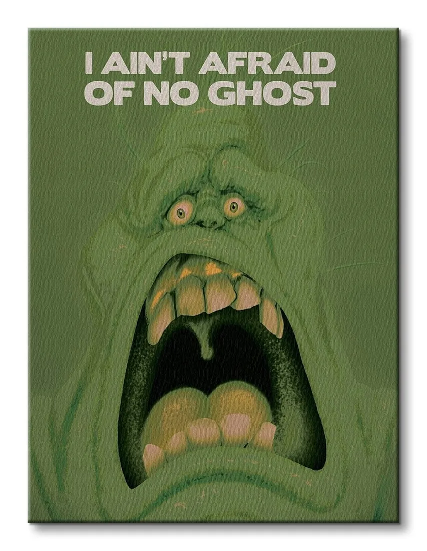 ghostbusters-duch-slimer-obraz-na-plotnie-30x40-cm