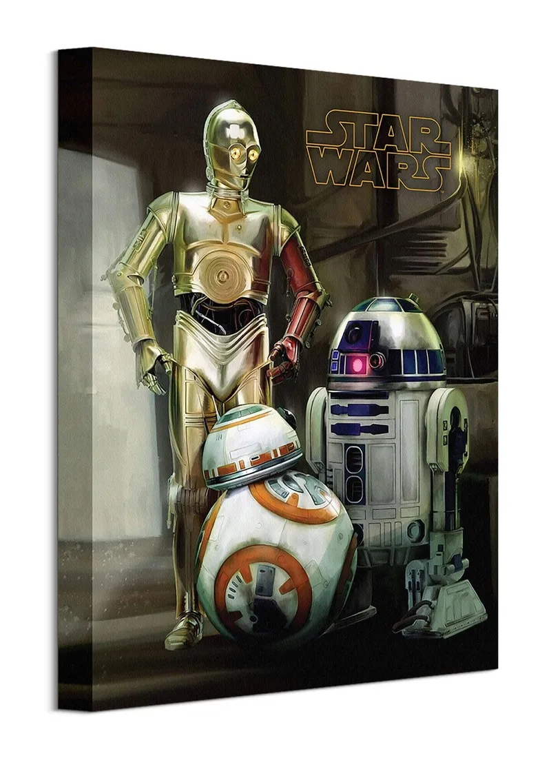 star-wars-droids-obraz-na-plotnie-30x40-cm