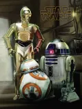 star-wars-droids-obraz-na-plotnie-30x40-cm-material-wykonania-plotno