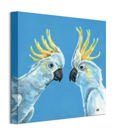 louise-brown-papugi-kakadu-obraz-plotno-40x40-cm
