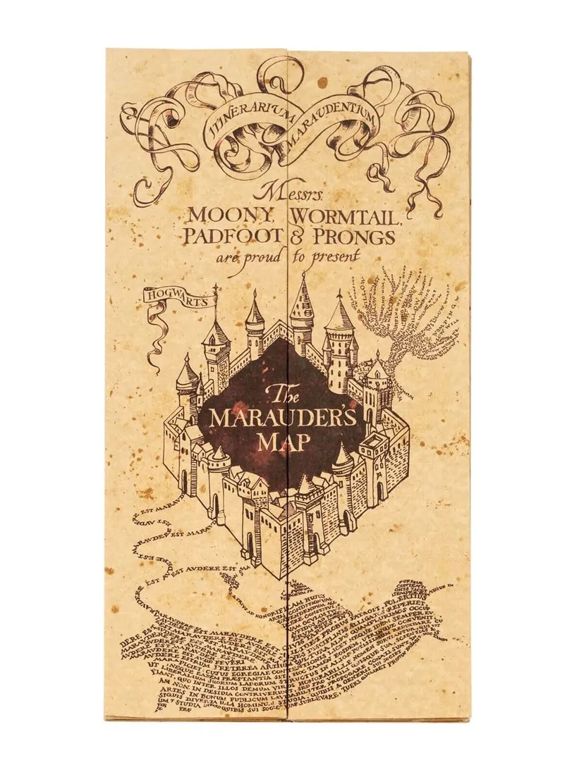 plakat-harry-potter-1745-x-395-cm
