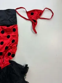 stroj-kostium-przebranie-karnawalowe-biedronka-biedronki-biedroneczka