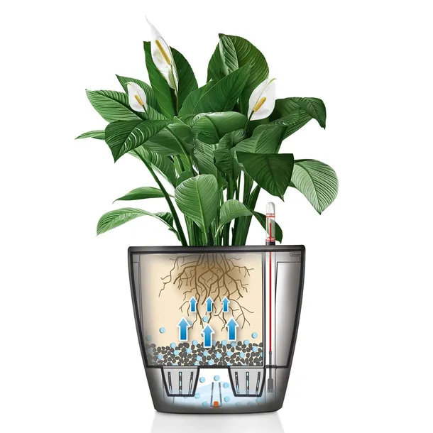 donica-lechuza-classico-ls-28-cm-czarny-7-l-odporne-na-uv-mroz-srednica-28-cm