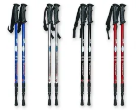 2-x-kijki-do-chodzenia-nordic-walking-kije-regulowane-skladane-trekkingowe