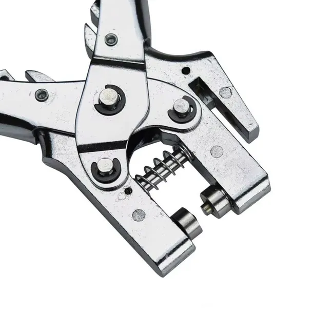 prorock-dziurkacz-srebrny-rodzaj-dziurkacz