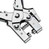 prorock-dziurkacz-srebrny-rodzaj-dziurkacz