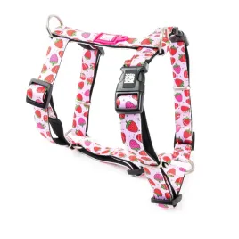 maxandmolly-h-harness-strawberry-szelki-dla-psa-i-szczeniaka-regulowane-xs