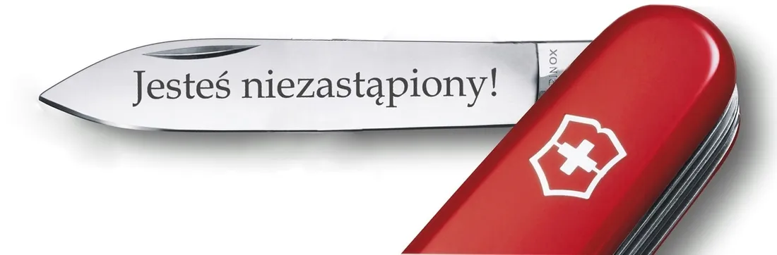 zestaw-dla-dzieci-scyzoryk-my-first-victorinox-zwierzeca-edycja-delfin-sk-cechy-dodatkowe-brak