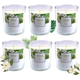 swieca-zapachowa-parafinowa-swieze-egzotyczne-nuty-glimmerstone-6-szt