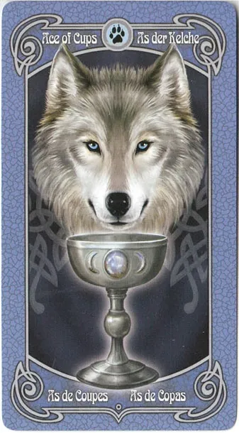 fournier-anne-stokes-legends-minimalna-liczba-graczy-1