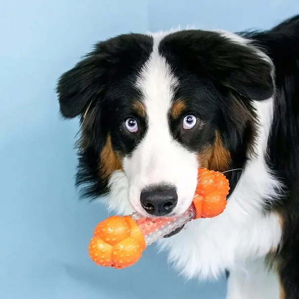 gryzak-dla-psa-nylabone-strong-chew-sneaky-snacker-kod-producenta-nb-55330