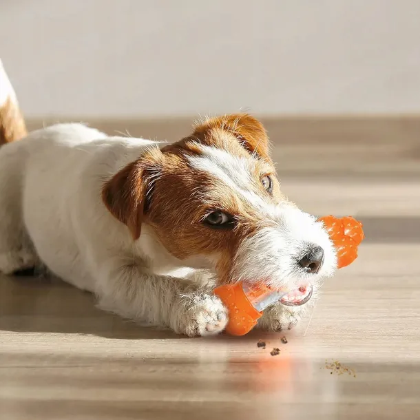 gryzak-dla-psa-nylabone-strong-chew-sneaky-snacker-kod-producenta-nb-55323