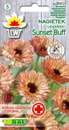 nagietek-lekarski-sunset-buff-nasiona-kwiatow-1g-toraf