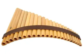 gibonus-fp22-fletnia-pana-student-22-odwrocona