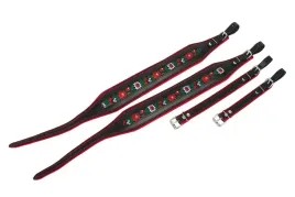 pap-folklor-120-red-pasy-do-akordeonu