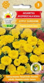 aksamitka-gypsy-sunshine-nasiona-kwiatow-1g-toraf