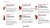 puree-monin-jabuticaba-1-l-marka-monin