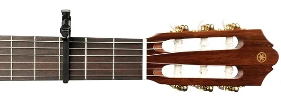 kapodaster-daddario-pw-cp-13