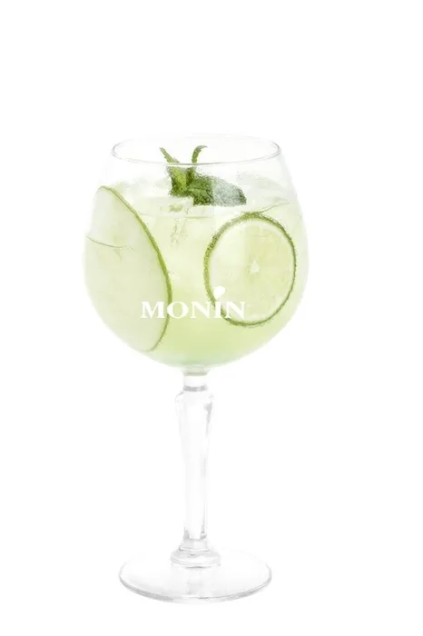 puree-monin-granny-smith-apple-1l-zielone-jablko-marka-monin