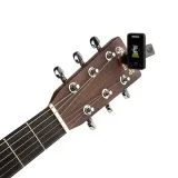 tuner-d-addario-0019954191580
