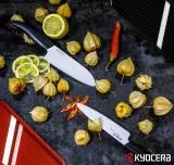 kyocera-krajalnica-julienne-czarna-marka-kyocera-rodzaj-tarka