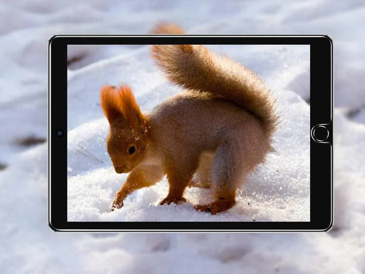 szklo-esr-do-apple-ipad-10-2-typ-szklo