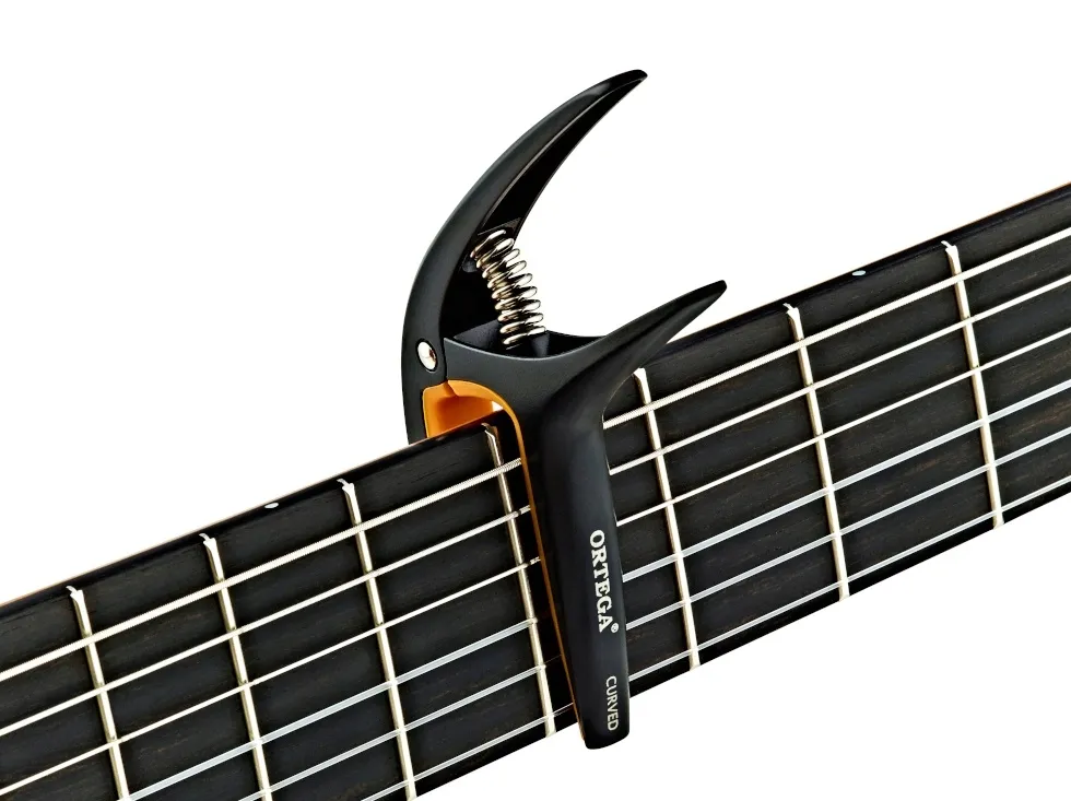 kapodaster-ortega-twcapo-wnd