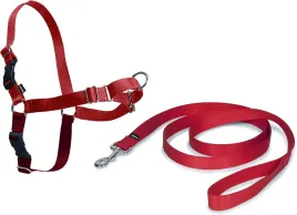 smycz-tradycyjna-petsafe-material-117-m