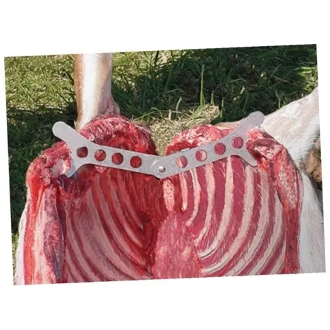 noz-outdoor-edge-butcher-lite