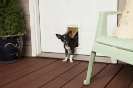 klapka-do-drzwiczek-petsafe-19-x-28-cm-bialy