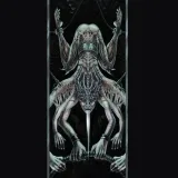 righton-steady-charm-mojo-seven-unique-kolor-wielokolorowy