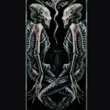 righton-steady-charm-mojo-seven-unique-marka-righton-straps