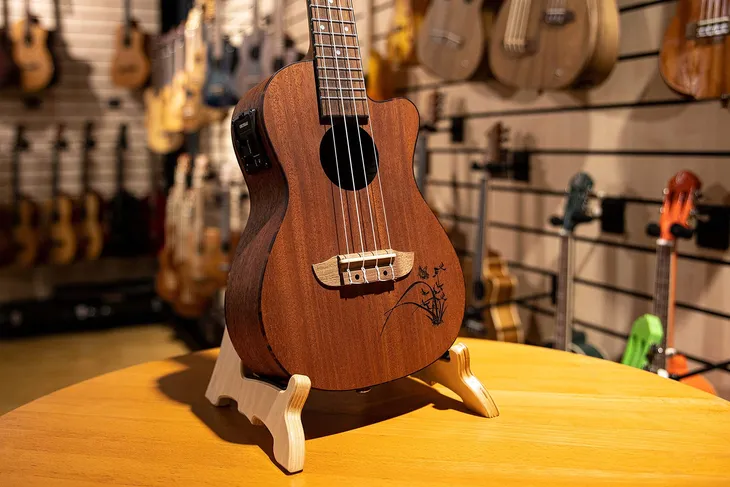 statyw-gitarowy-ortega-owus-2-kod-producenta-owus-2