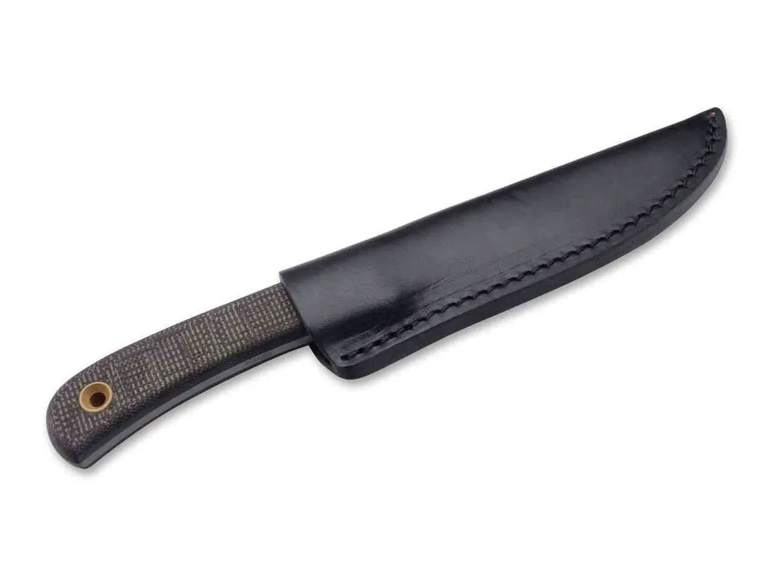 noz-boker-plus-bark-beetle