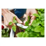 wusthof-urban-farmer-noz-do-oczkowania-przycinania-8-cm-linia-urban-farmer