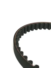 pasek-zebaty-1360-8m-16