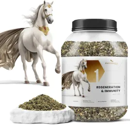 phytoseo-ziolowa-mieszanka-phyto-horse-1-regeneracja-i-odpornosc-14-kg