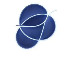 neon-led-zimny-bialy-jednostronny-6x12-flex-12v-5m