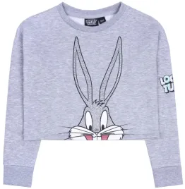 looney-tunes-bluza-dziecieca-poliester-szary-rozmiar-164
