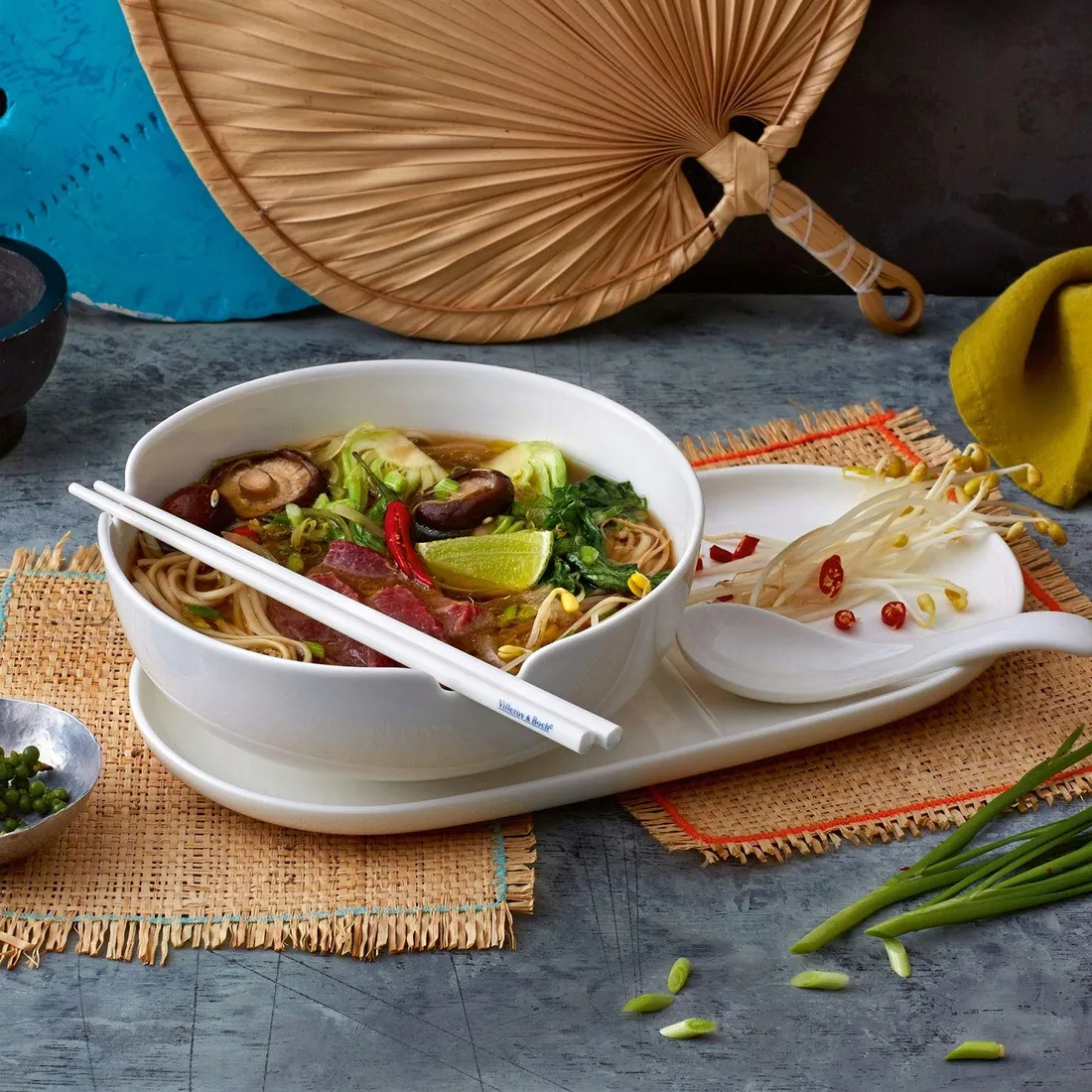 taca-villeroyandboch-soup-passion