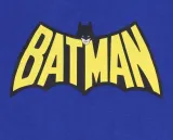 2x-niebiesko-szara-pizama-batman-dc-comics-122-cm-rodzaj-pizama