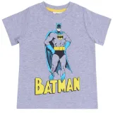 2x-niebiesko-szara-pizama-batman-dc-comics-122-cm-rekaw-krotki-rekaw